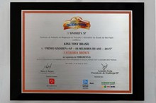2015 Sindirepa-Sp Award in Brazil